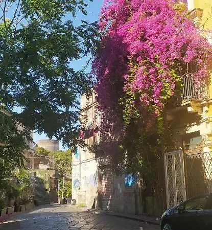 Lina's House Apartment Catania